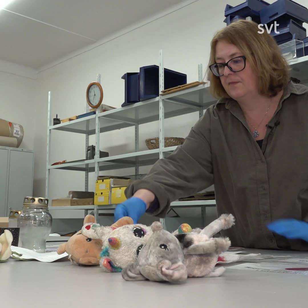 Se sakerna som sparas från ljushavet vid Risbergska
